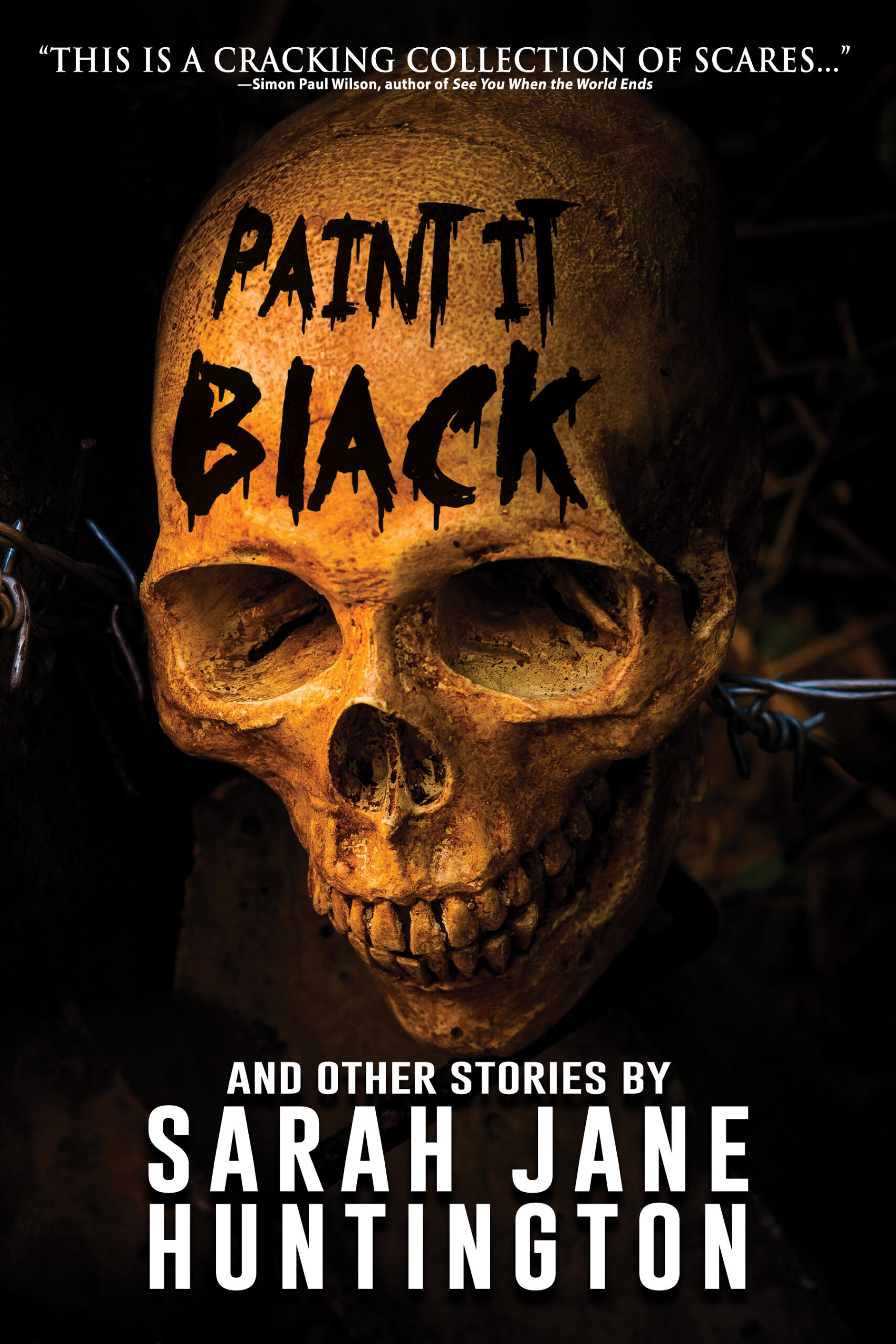 Review by Tobin Elliott: PAINT IT BLACK, by Sarah Jane Huntington